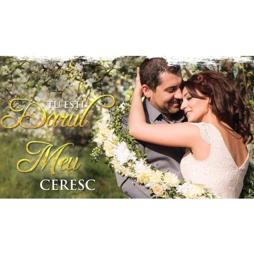 Alina Havrisciuc - Tu esti darul meu ceresc